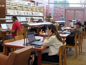 科技与安全,从悉尼留学生遇害事件看如何用技术守护海外学子 科技与安全,从悉尼留学生遇害事件看如何用技术守护海外学子